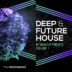 Future house massive presets