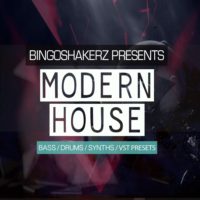 Modern House