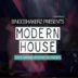 Modern House
