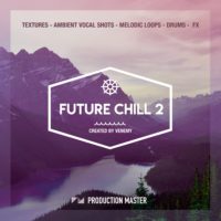 Future Chill 2
