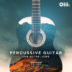 Black Octopus Sound - Percussive Guitar
