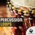 Percussion Loops