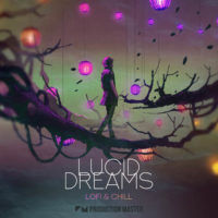 Lucid Dreams - Lofi & Chill
