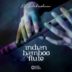 KV Balakrishnan Indian Bamboo Flute