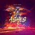 Out Of The Ashes By Preston & Roland