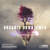 Equanimous - Organic Downtempo