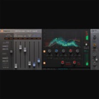 SSL Native FlexVerb