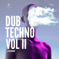 Dub Techno Vol 2 by Blackwarp