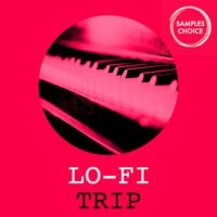 Lo-Fi Trip