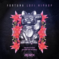 Fortuna - Lofi Hiphop - Bundle