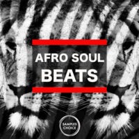 Afro Soul Beats