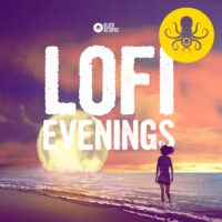 LoFi Evenings
