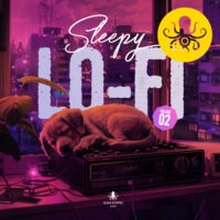 Sleepy Lo-Fi Vol 2